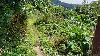 Resiential Lot for Sale in Brgy. Iruhin, Tagaytay